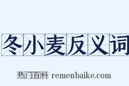 冬小麦反义词是什么意思的图片